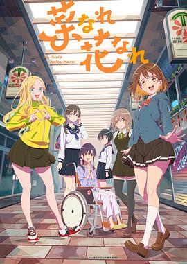 怎样做seo软件优化